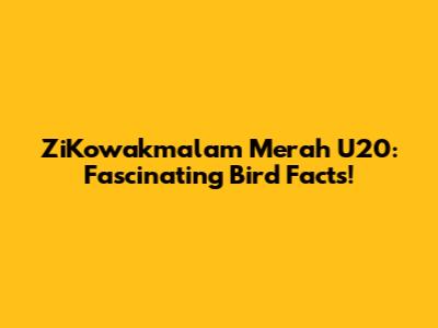 ZiKowakmalam Merah U20: Fascinating Bird Facts!