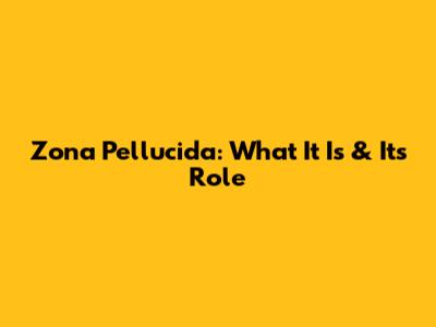 Zona Pellucida: What It Is & Its Role